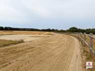 Propriété equestre Erdre En Anjou 7 pièce(s) 169 m2 — photo 4