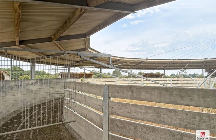 Propriété equestre Erdre En Anjou 7 pièce(s) 169 m2 — photo 5