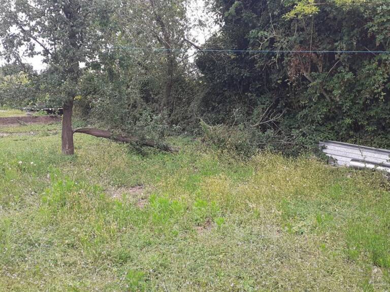 Terrain à Bâtir — photo 1