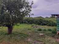 Terrain à Bâtir — photo 3