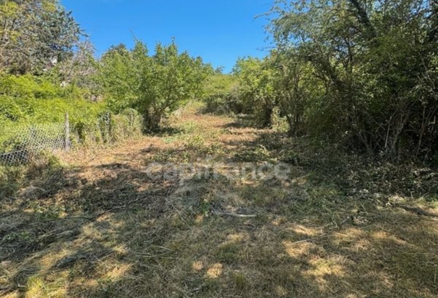 Terrain à vendre  VAUX (89) — photo 1