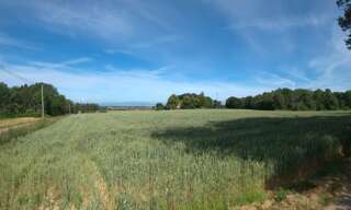 Terrain  12431 m² à vendre à Roybon (38940)