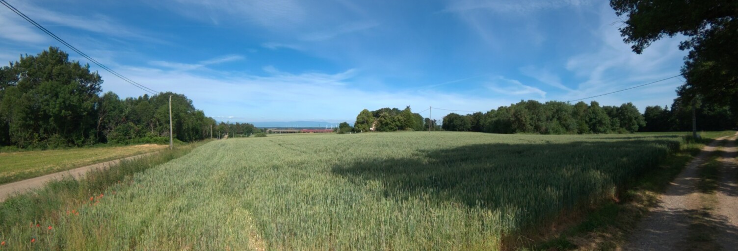 Terrain  12431 m² à vendre à Roybon (38940)