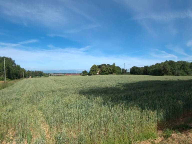  A vendre - Roybon (38940) – 3 parcelles de terrain agricole — photo 1