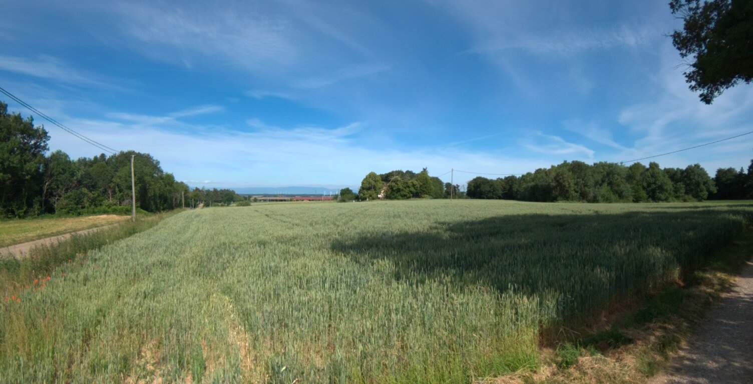  A vendre - Roybon (38940) – 3 parcelles de terrain agricole — photo 1