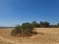  A vendre - Roybon (38940) – 3 parcelles de terrain agricole — photo 2