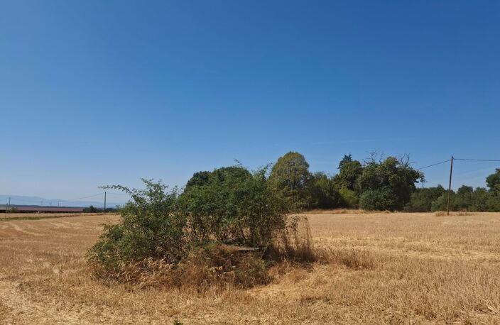  A vendre - Roybon (38940) – 3 parcelles de terrain agricole — photo 2