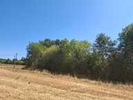  A vendre - Roybon (38940) – 3 parcelles de terrain agricole — photo 3