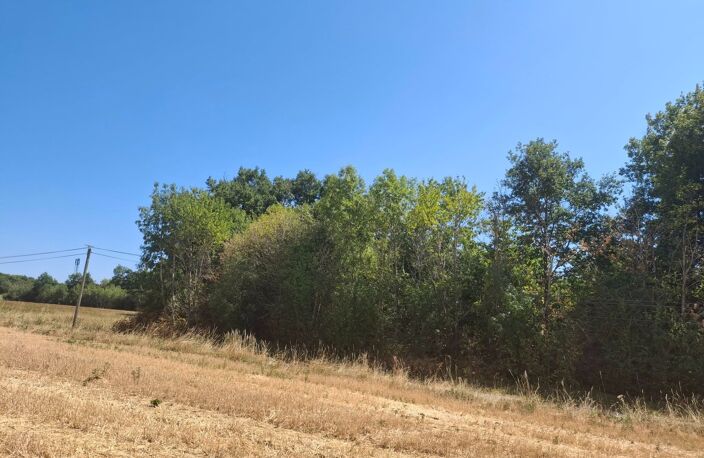  A vendre - Roybon (38940) – 3 parcelles de terrain agricole — photo 3