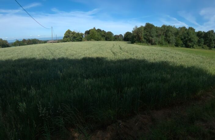  A vendre - Roybon (38940) – 3 parcelles de terrain agricole — photo 5