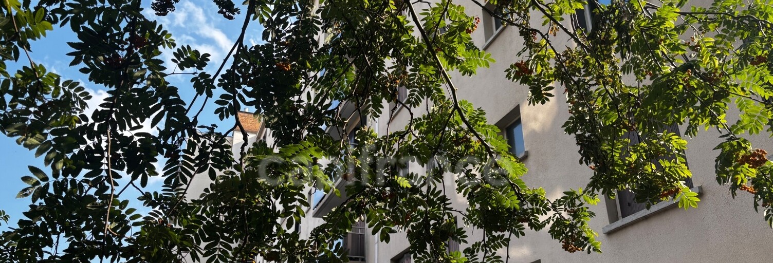 Appartement 3 Pièces 58 m² à vendre à Issy-les-Moulineaux (92130)