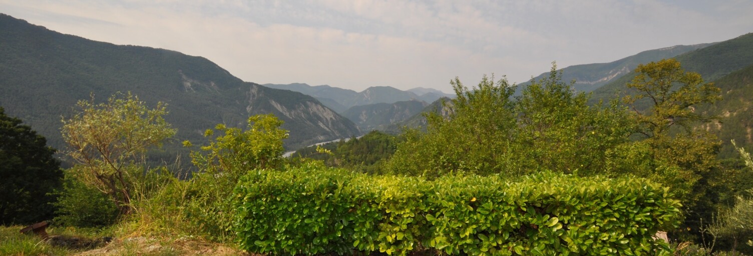 Photo N° 2