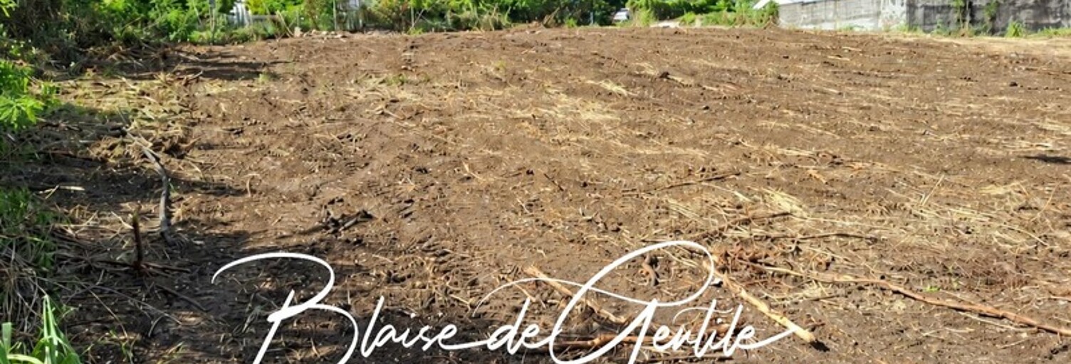 Terrain  1000 m² à vendre à Saint-François (97118)