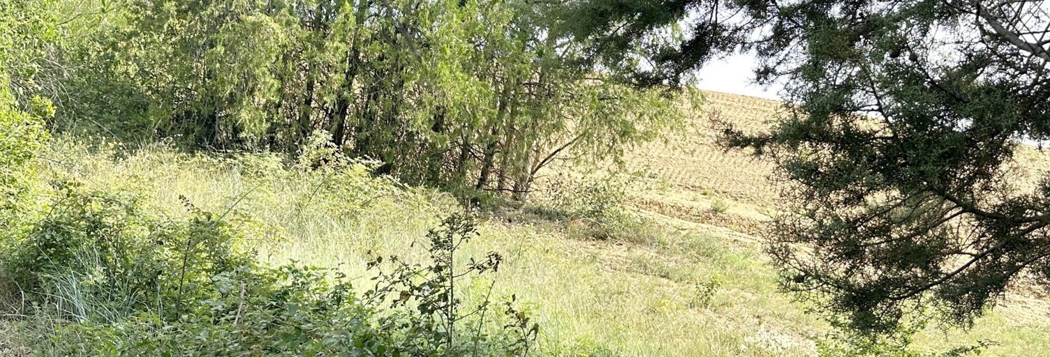 Terrain  1936 m² à vendre à Laudun-l'Ardoise (30290)
