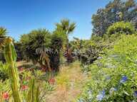 Vente Appartement 4 Pièces, 95 m2 avec 390 m2 de Terrasse et Jardin, Garage - Quartier La Plage - Marseille 8 — photo 2
