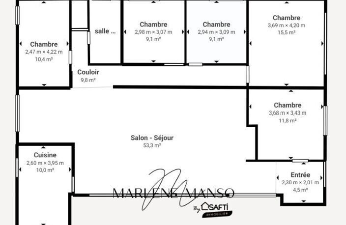 Proche tram 153 m² avec jardin, garage et sous-sol — photo 3