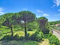 Propriété de caractère 366 m²  8 chambres  Vue sur les vignes  Fort potentiel touristique — photo 2