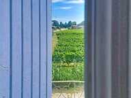 Propriété de caractère 366 m²  8 chambres  Vue sur les vignes  Fort potentiel touristique — photo 3