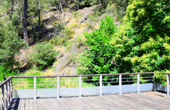 Dépt. 30 -   Mas en pierres de 220 m2 à CHAMBORIGAUD - Parce — photo 4