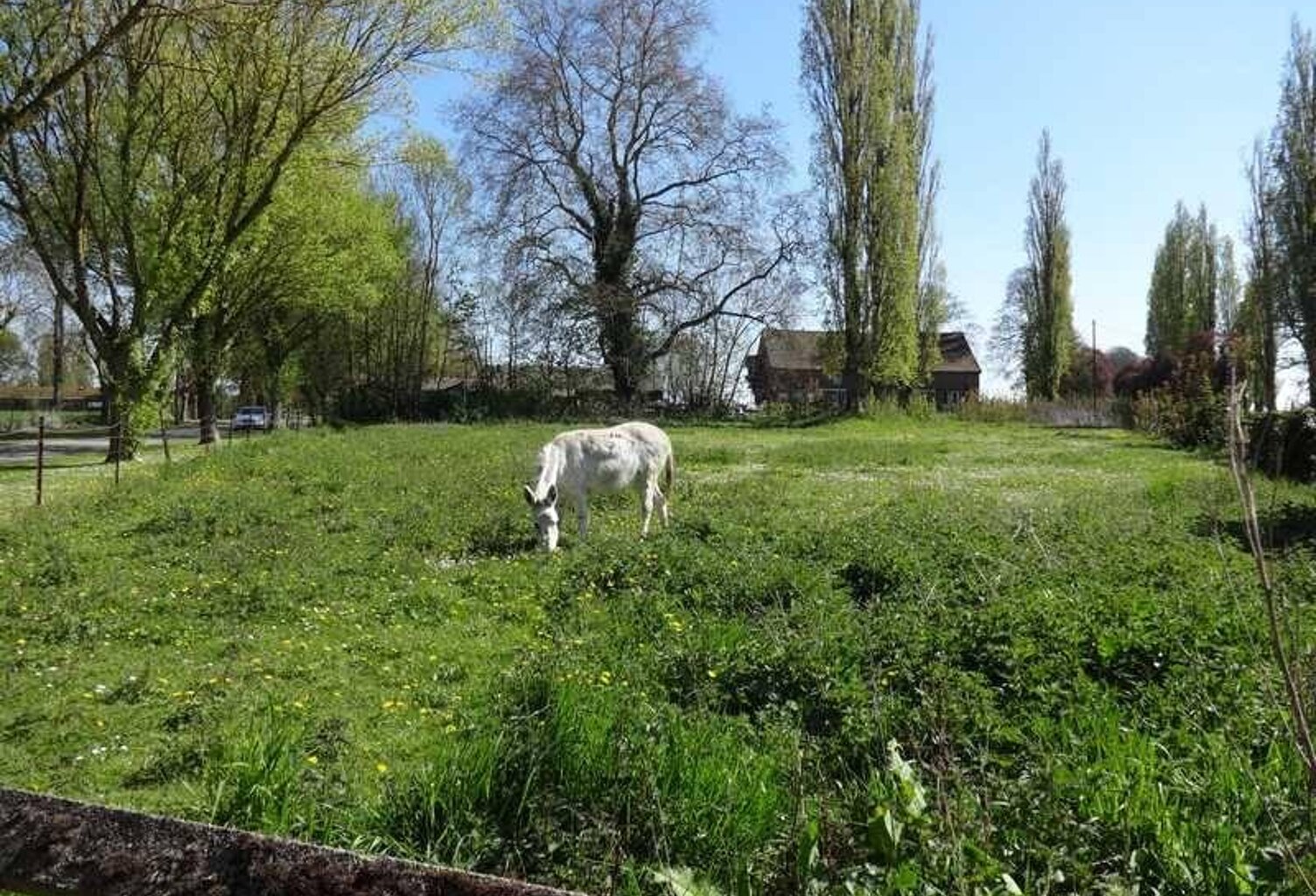 Réf : 6200 — photo 1