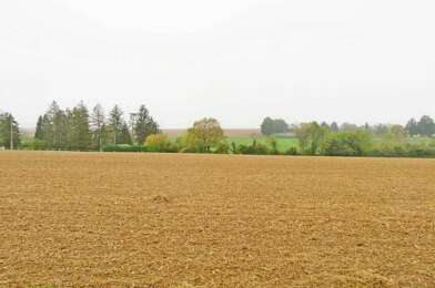 Terrain  49000 €