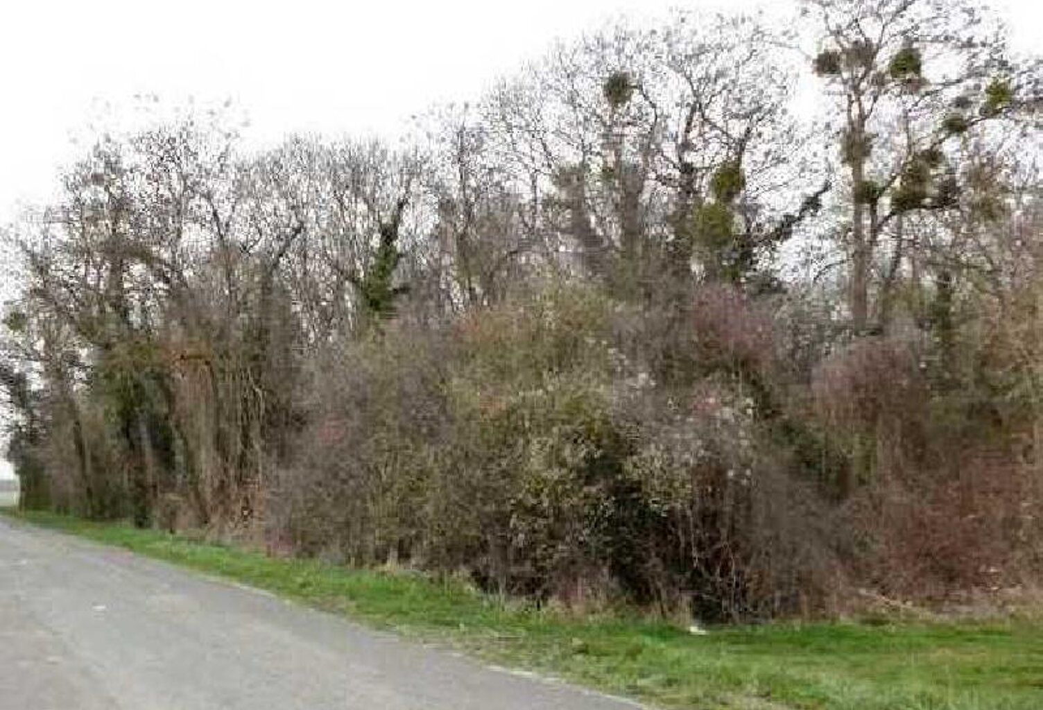 Réf : 6279 — photo 1