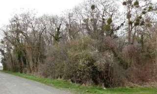 Terrain  1495 m² à vendre à Montjavoult (60240)