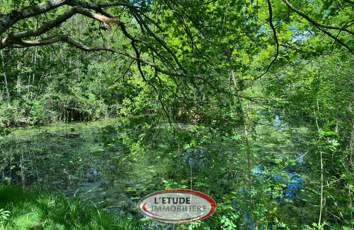 Ligné : un havre de paix pour les amoureux de la nature — photo 3