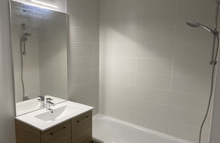 Location appartement 2 pièces 41 m² à Toulouse (31200) — photo 4