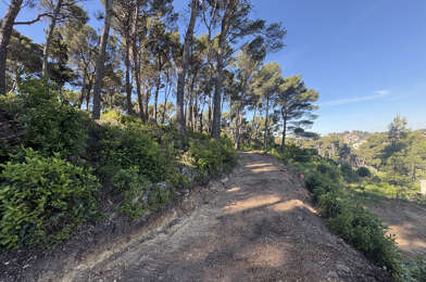 Terrain  420000 €