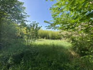 Mas avec terrain — photo 3