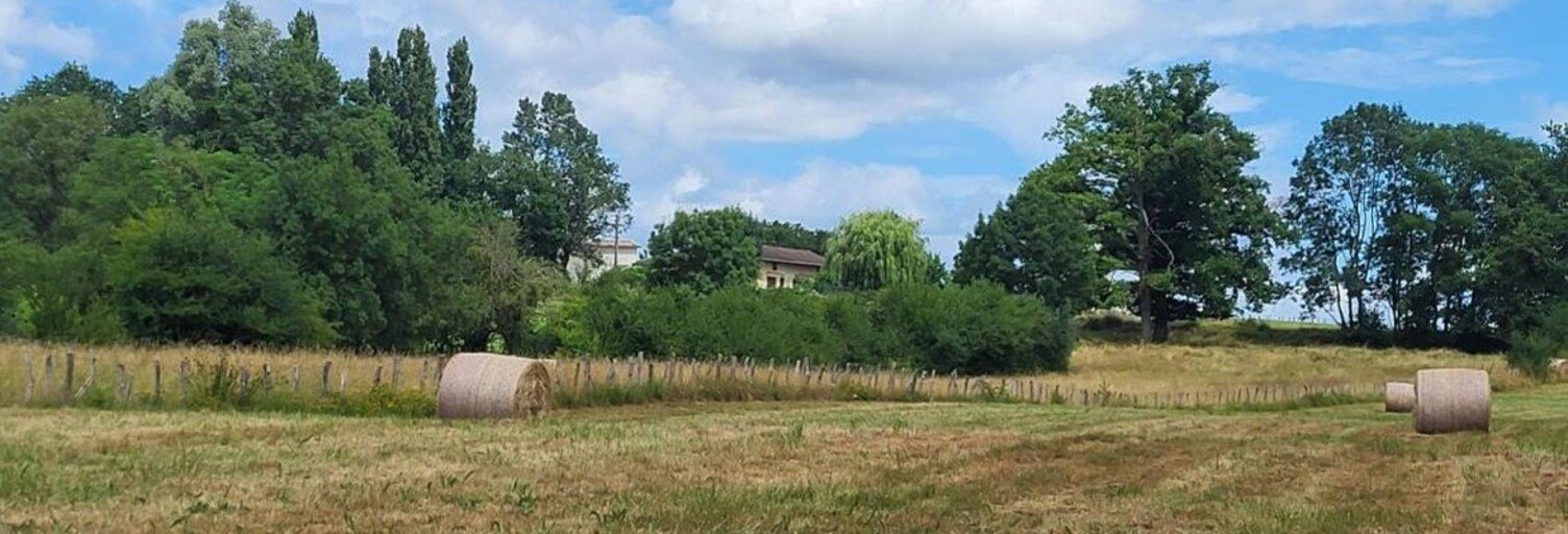 Terrain  959 m² à vendre à Chavannes-sur-Reyssouze (01190)