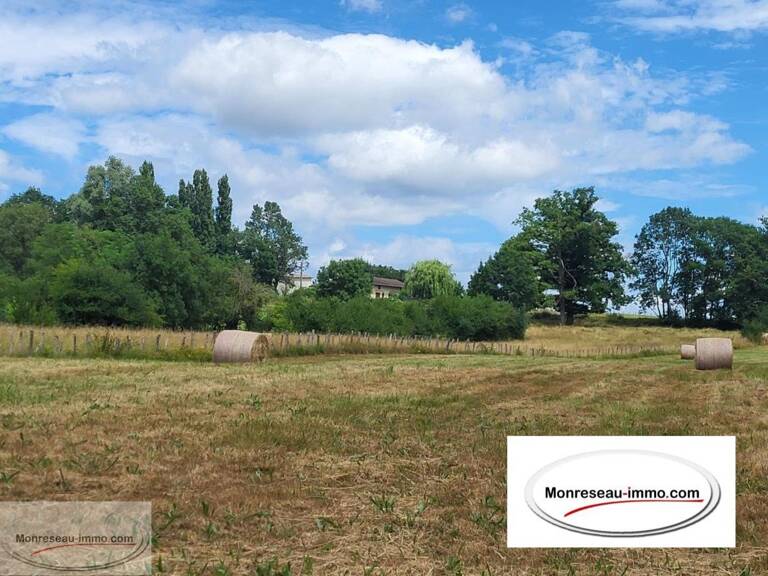 Terrain — photo 1