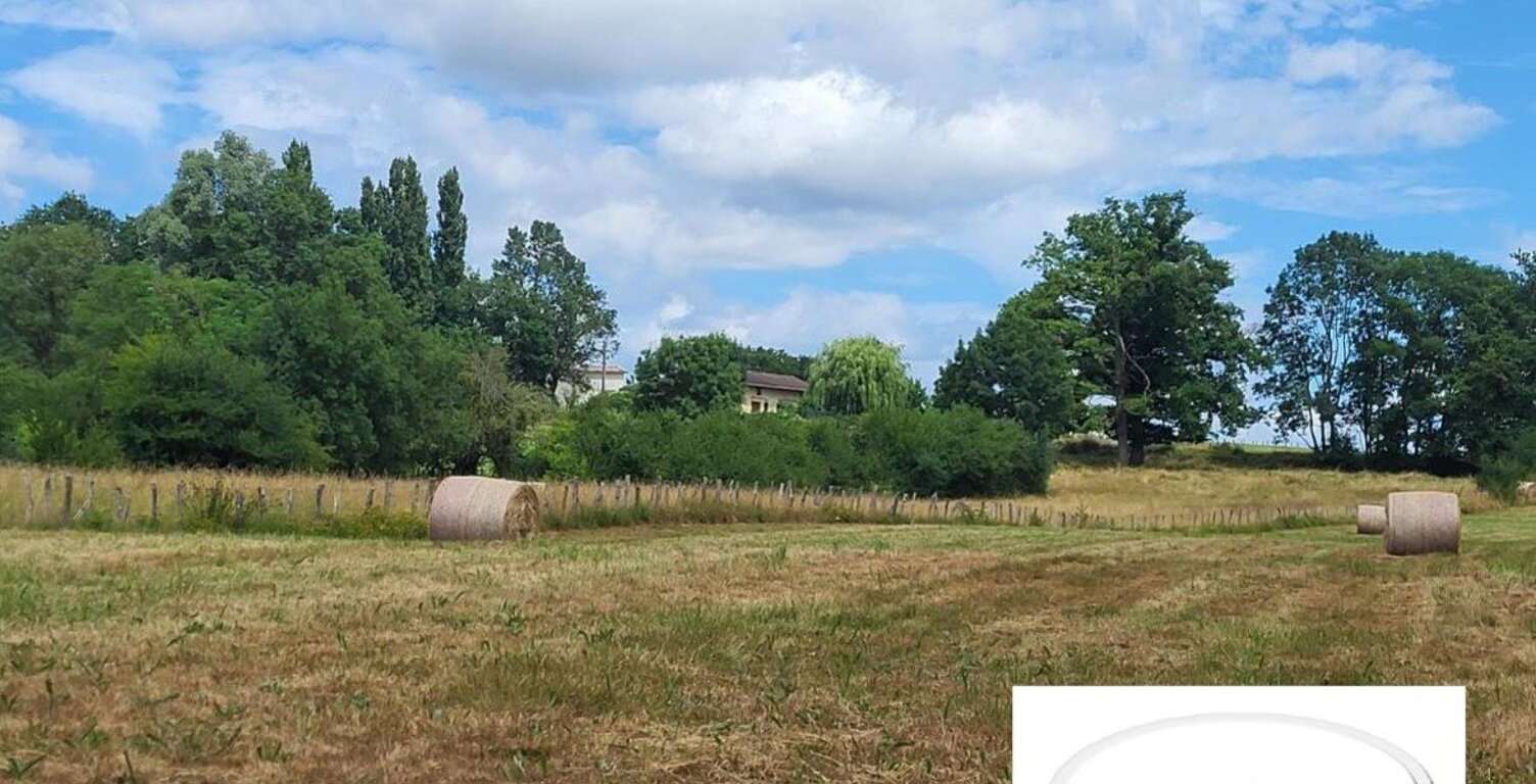 Terrain — photo 1