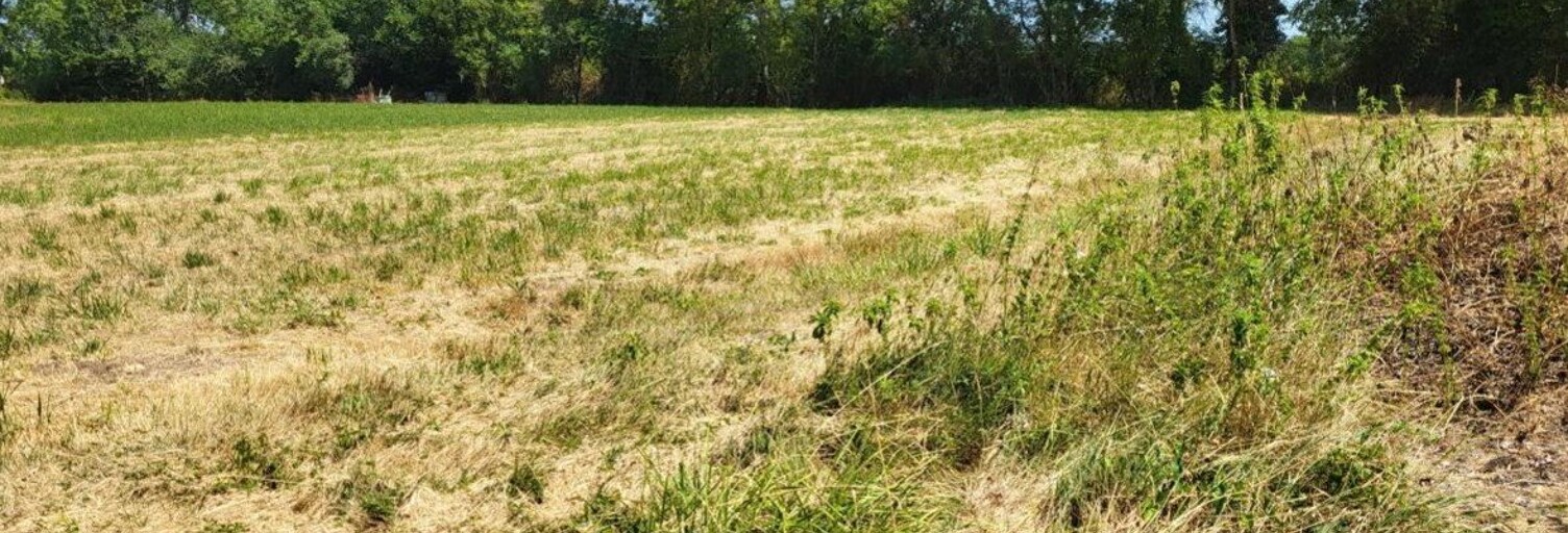 Terrain  1916 m² à vendre à Saint-Étienne-sur-Reyssouze (01190)
