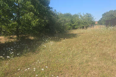 Terrain  136000 €