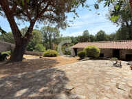 MAISON- 8 PIECES - 235 m2 - A VENDRE - LES RIVES DE L'YON — photo 3