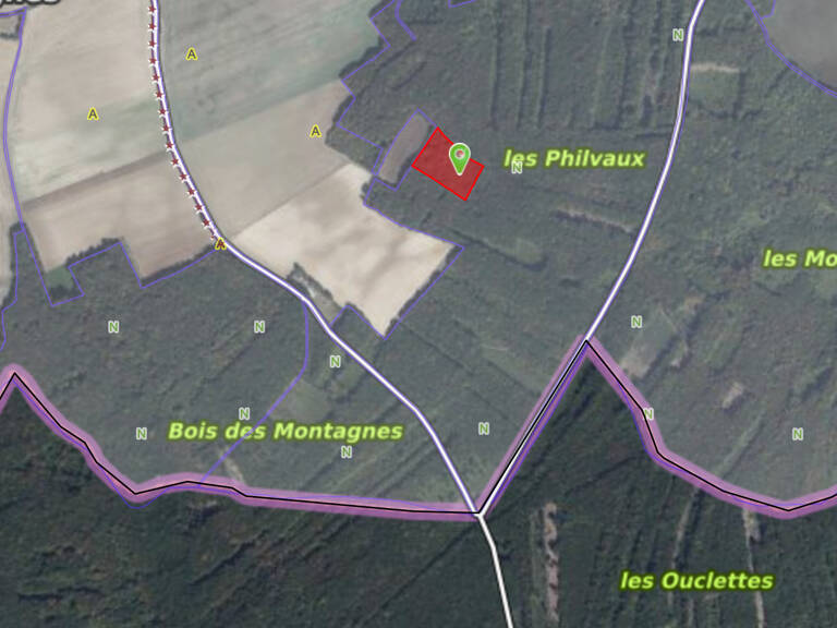 Parcelles de bois à Bouhy 11129 m2 — photo 1