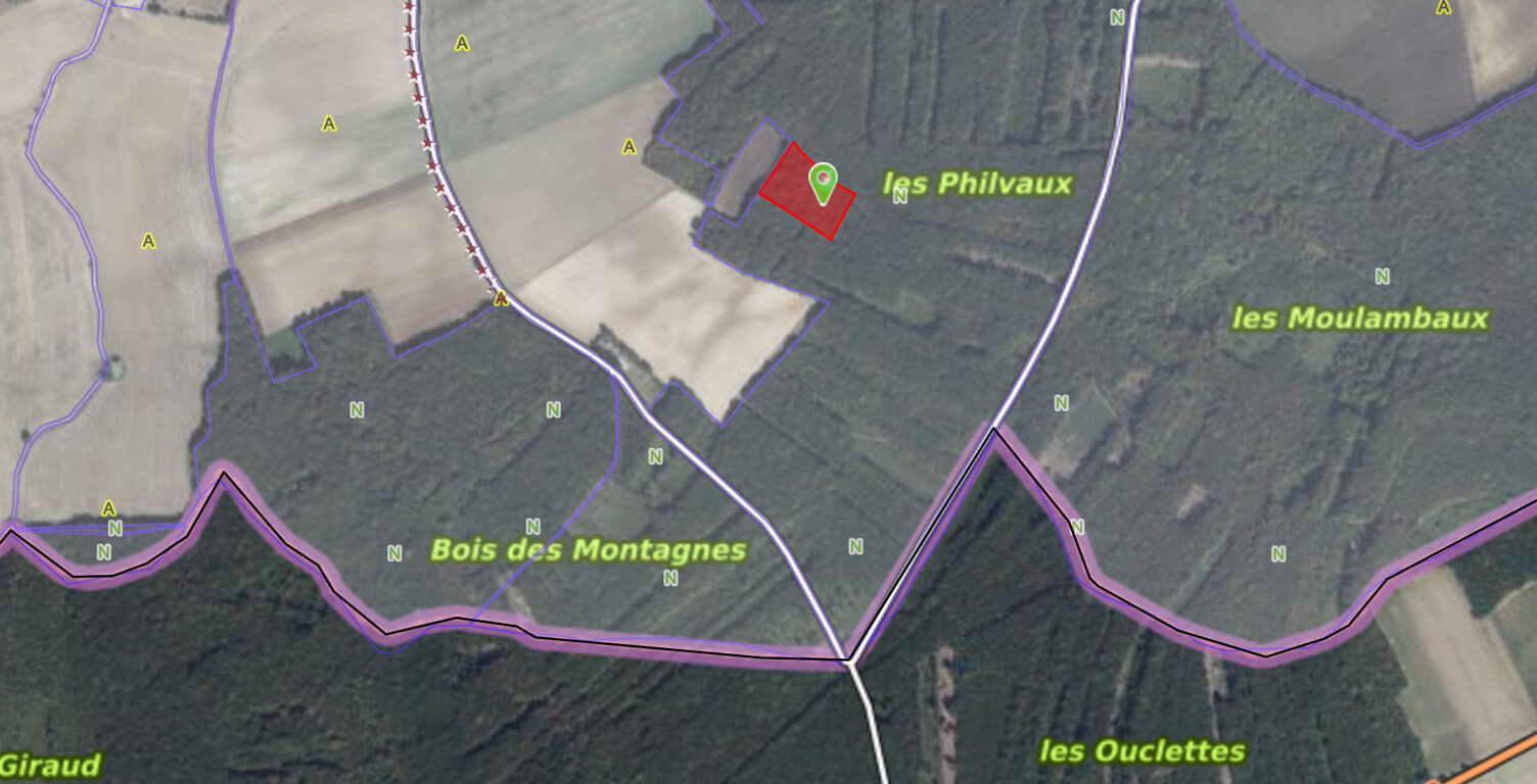 Parcelles de bois à Bouhy 11129 m2 — photo 1