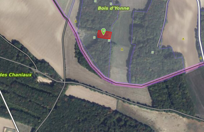 Parcelles de bois à Bouhy 11129 m2 — photo 3