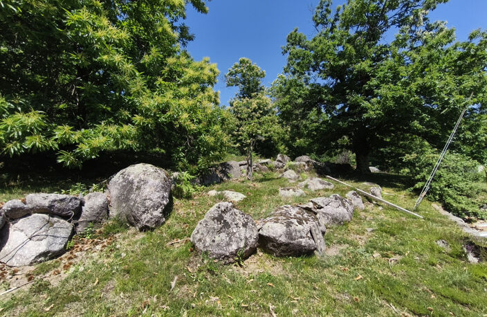 Villa de plain-pied avec terrain arboré et prestations de qualité — photo 5