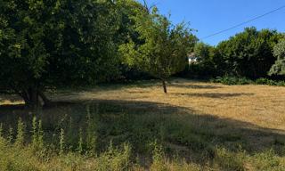 Terrain  1440 m² à vendre à Villefort (48800)