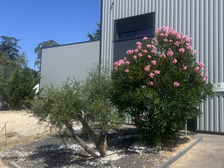 Vente Boutique/Local commercial 720 m&sup2; — photo 1