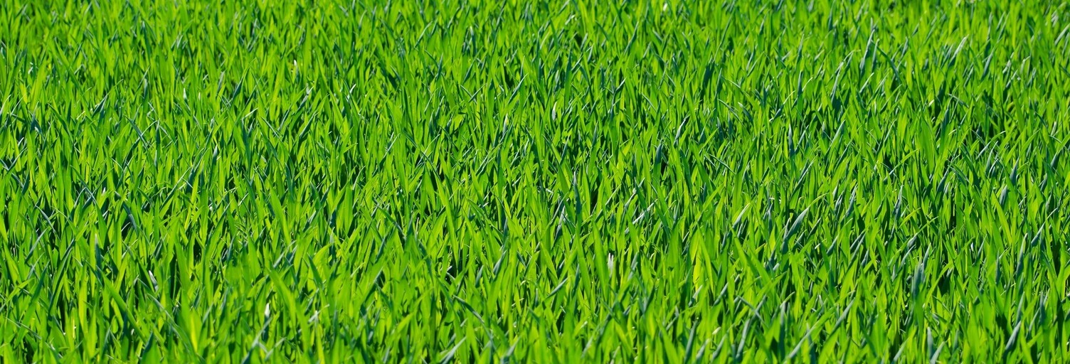 Terrain  529 m² à vendre à Mandres-les-Roses (94520)
