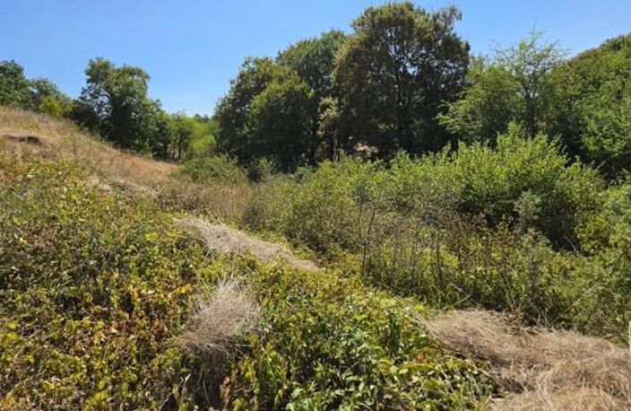 Vente terrain  2325 m² Lalbenque (46230) — photo 4