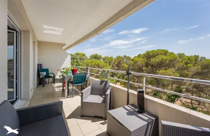 Appartement de 3 pièces principales — photo 2