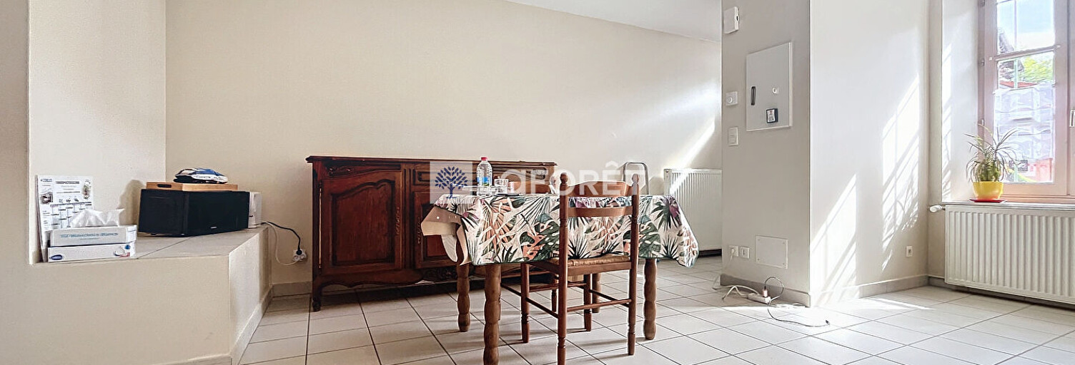 Appartement 2 Pièces 40 m² à louer à Saint-Chef (38890)