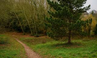 Photo N° 2