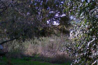 Terrain  115000 €