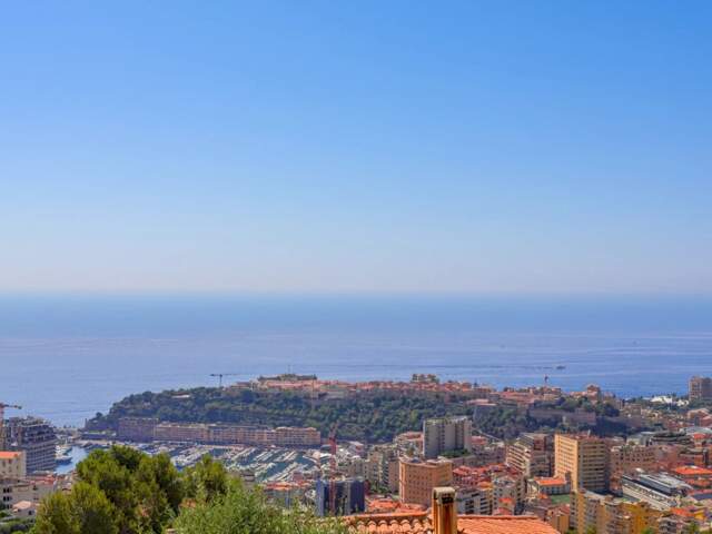 VILLA NEUVE BEAUSOLEIL VUE MER ET MONACO — photo du bien